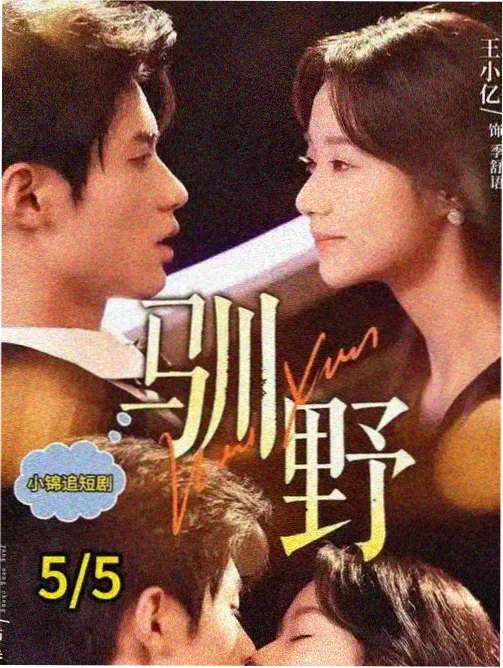 实习生视角职场剧分析配图